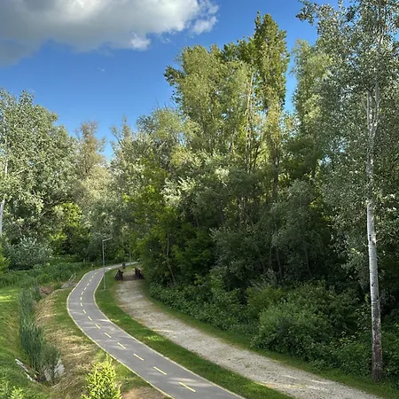 Willow Nest * Балатонфюзфё