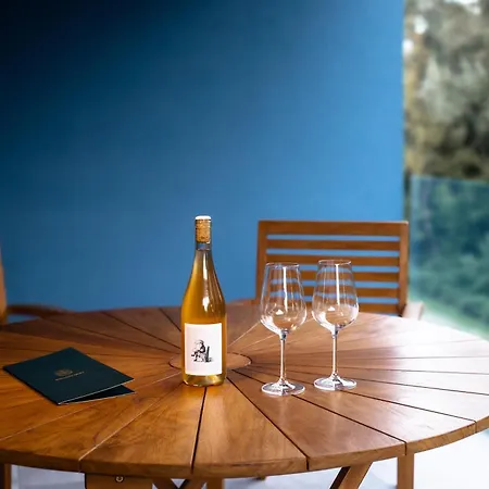 דירה Willow Nest