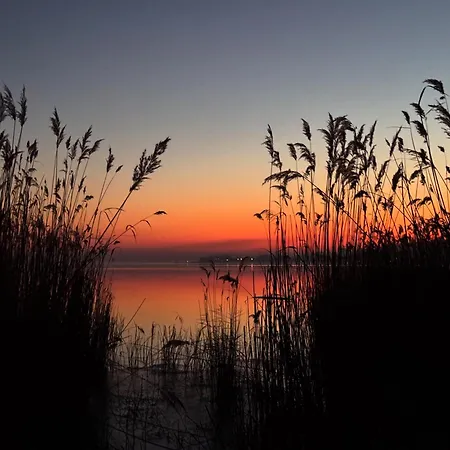 דירה Willow Nest *