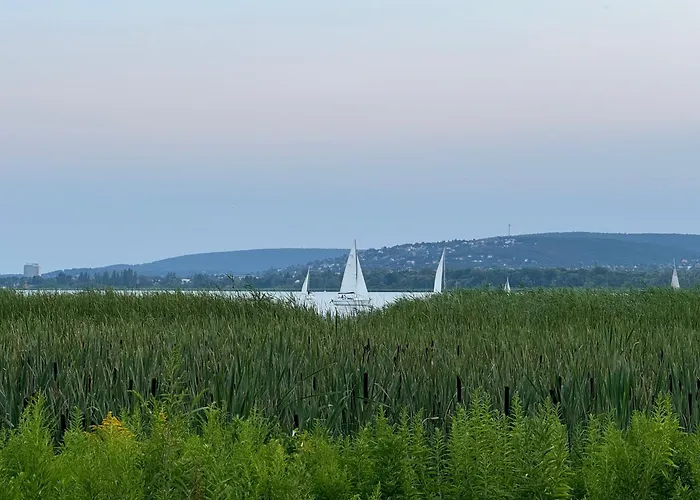 דירה Willow Nest *