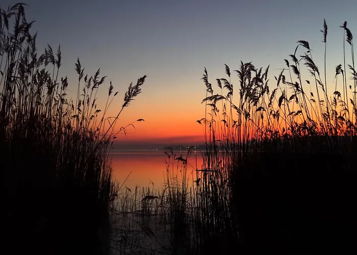 דירה Willow Nest *